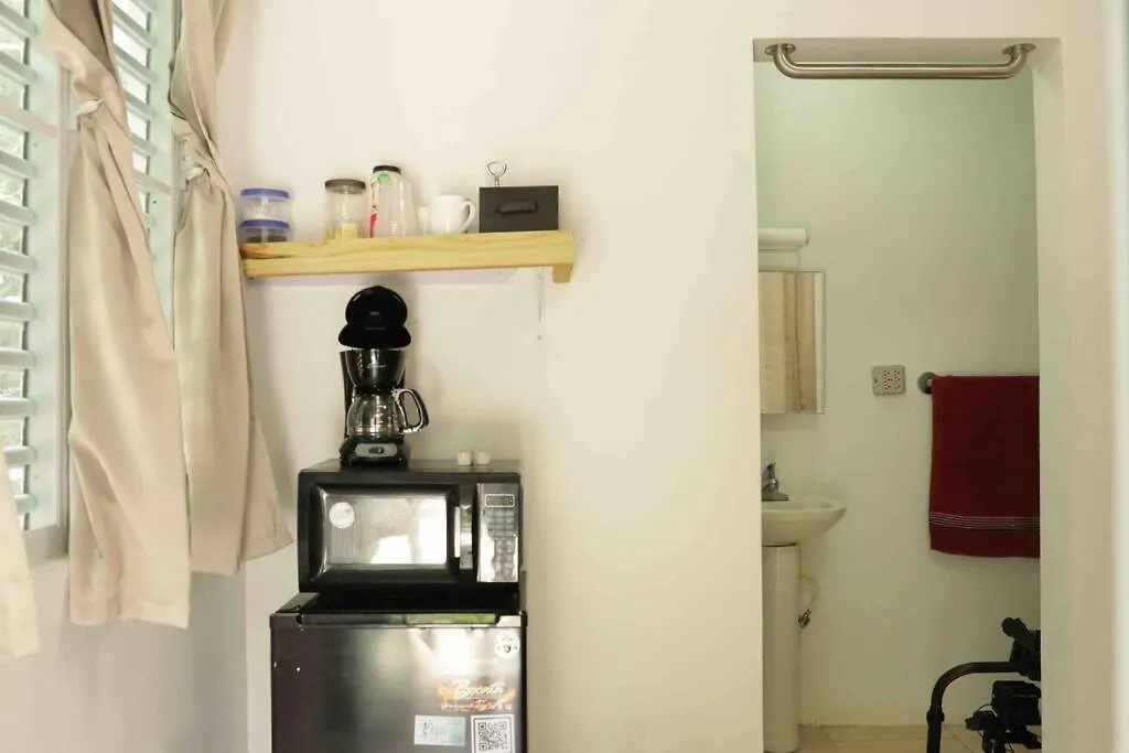 Dk Back Yard Surf Shack - Apartment #1 Arecibo