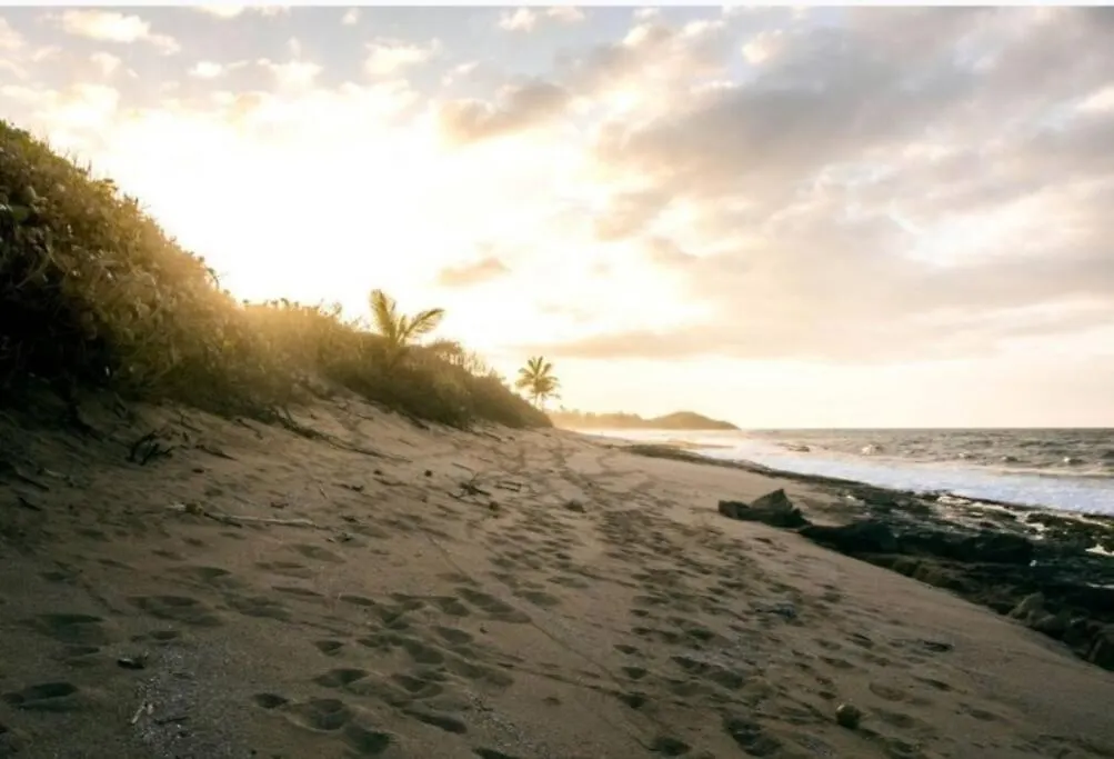 Dk Back Yard Surf Shack - Apartment #1 Arecibo
